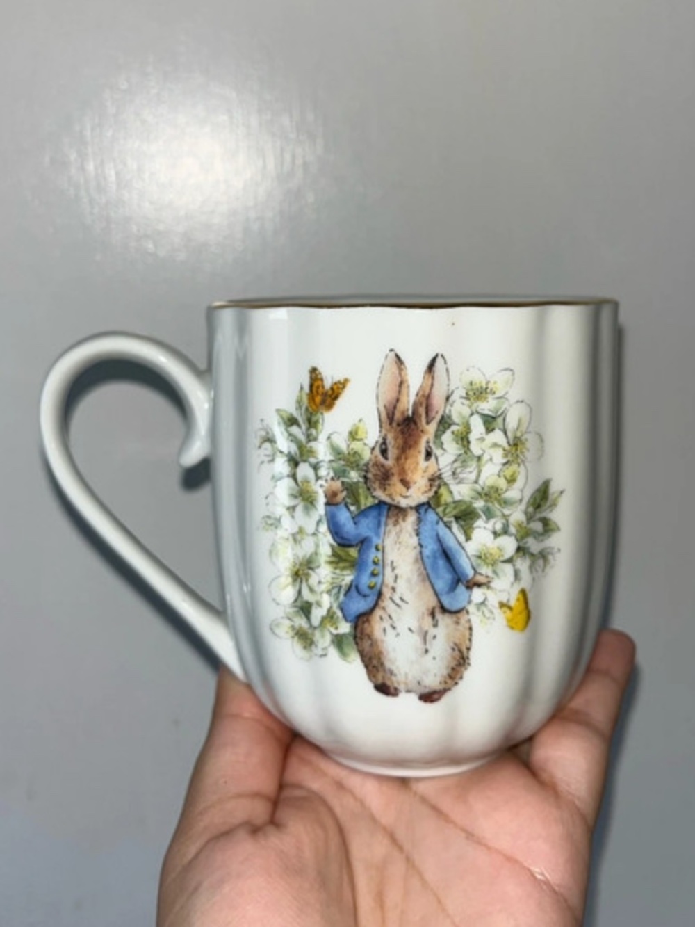 Beatrix Potter Peter Rabbit Mug New
